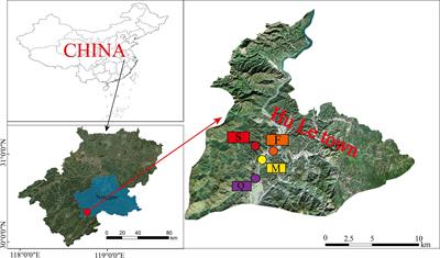 Seasonal variation in soil algal community structure in different forest plantations in subtropic China